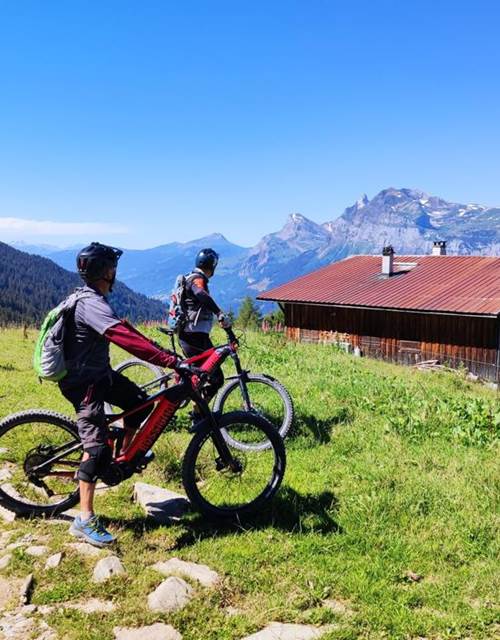 b4233697-a8a4-4229-9daf-3c3cab494f70