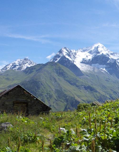 H0012907-P Chalets de l'Arc