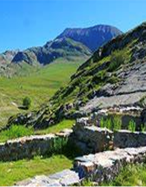 Screen Shot 2021-08-12 at 14