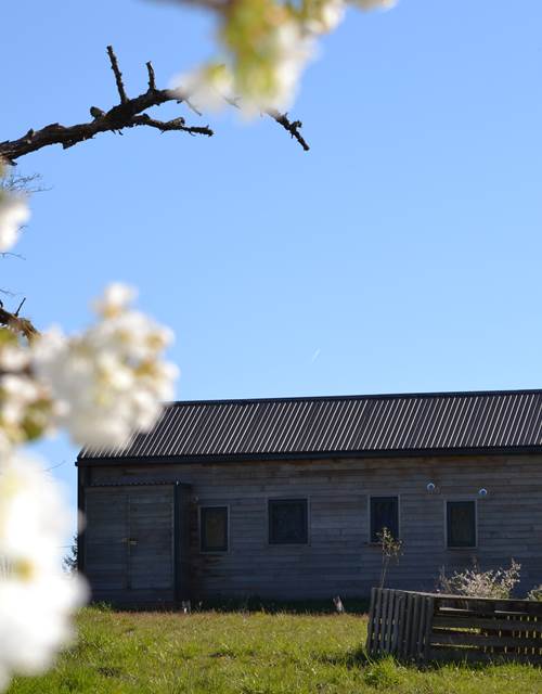 Cabane de l'Ecureuil, au printemps