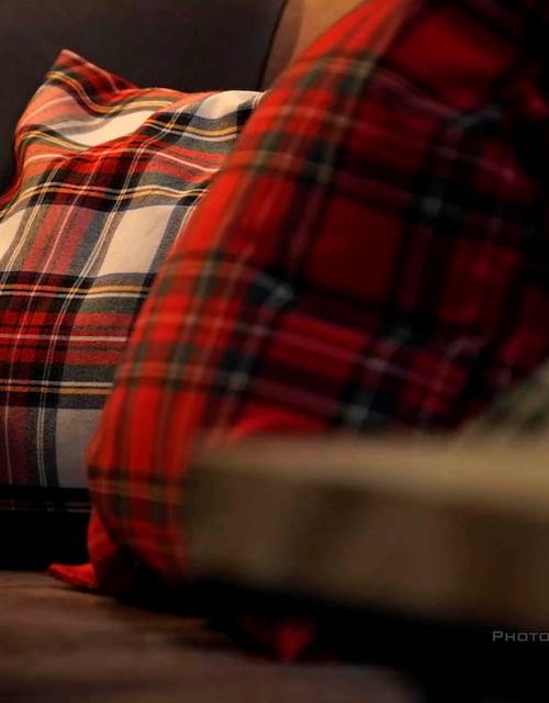 ®GitesLaFermeduParc_cosy_tinyhouse