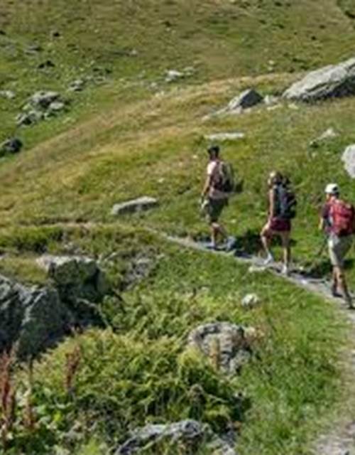 téléchargement (9)