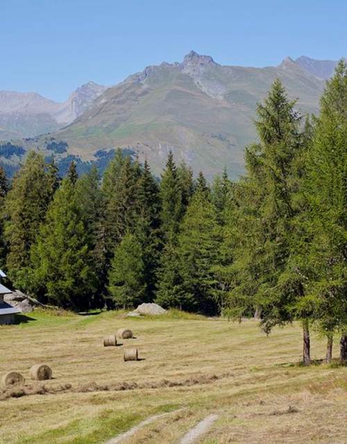 Sentier des ruines - Courbaton