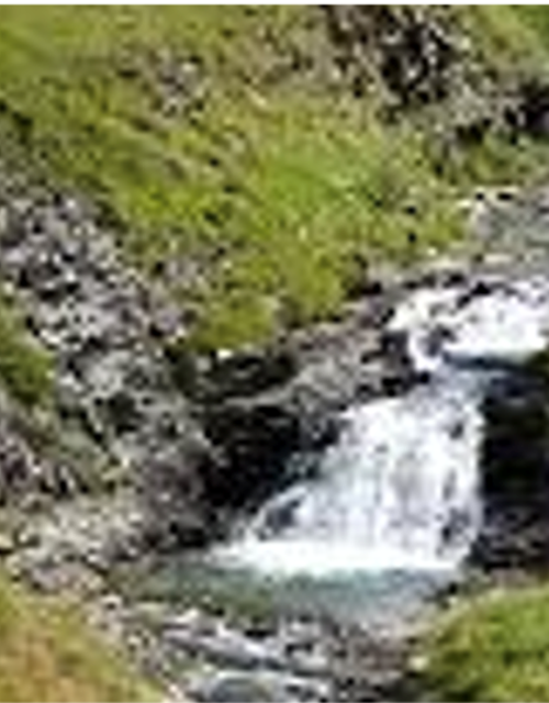 Screen Shot 2021-08-12 at 14