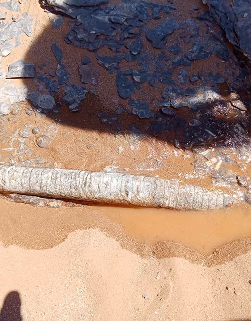 DESERT IRIKI - excursions - désert - Foum zguid x Zawiya-gravures et les dunes - 3 jours / 2 nuits