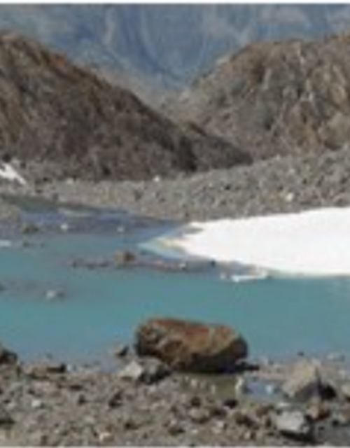 Screen Shot 2021-08-12 at 14