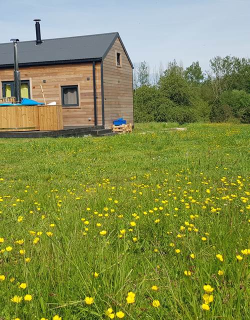 Cabane de l'Ecureuil, vue du parc