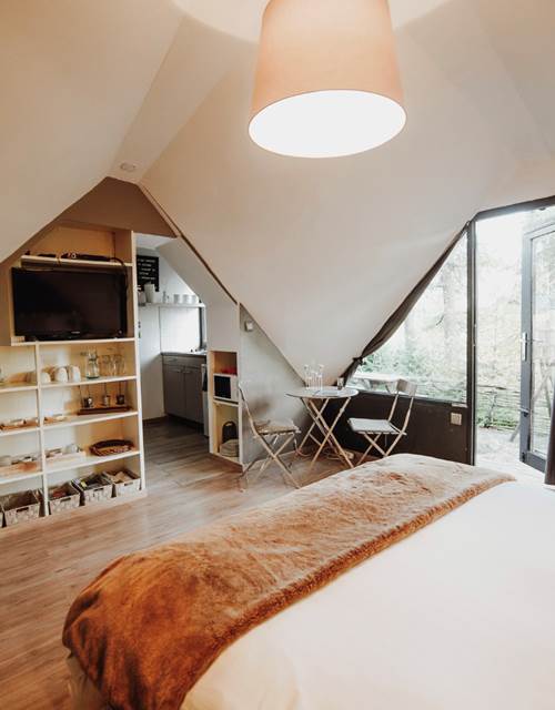 Vue générale de la chambre