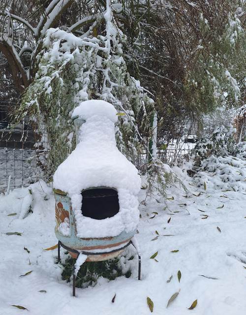 Barbecue Noe¨l - 112024