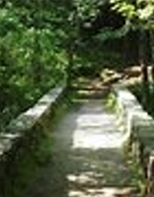 Screen Shot 2021-08-12 at 14