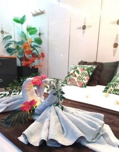 516022896_4339576839596784_1848303944408449280_n