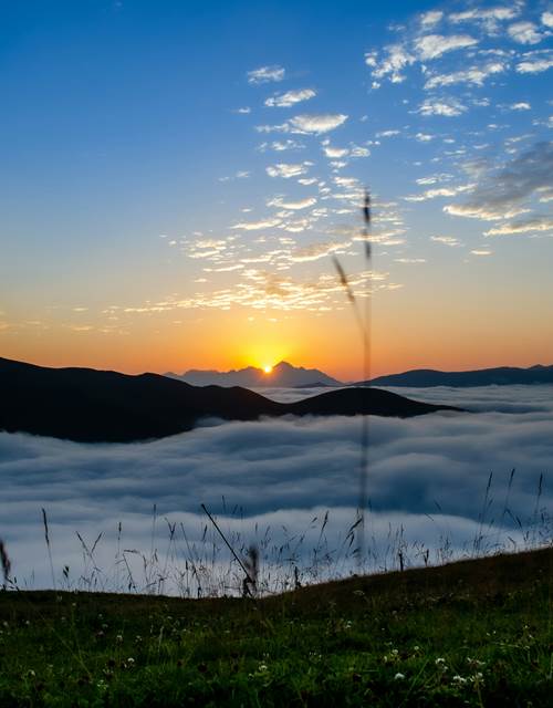 julie-lamour-5IoBp-aKasY-unsplash (1)