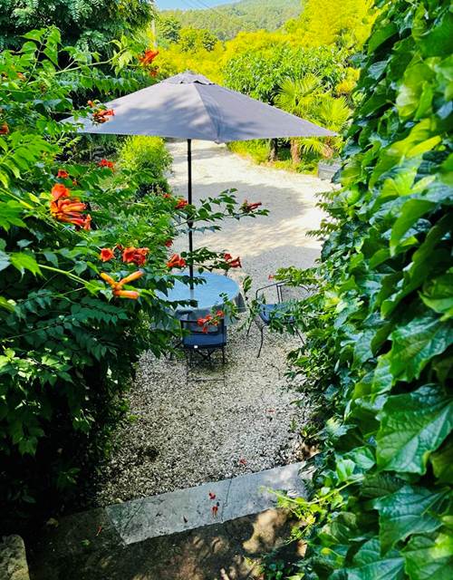 FBEF5C1E-77C9-42FC-9DE0-9E9EEF8702E2