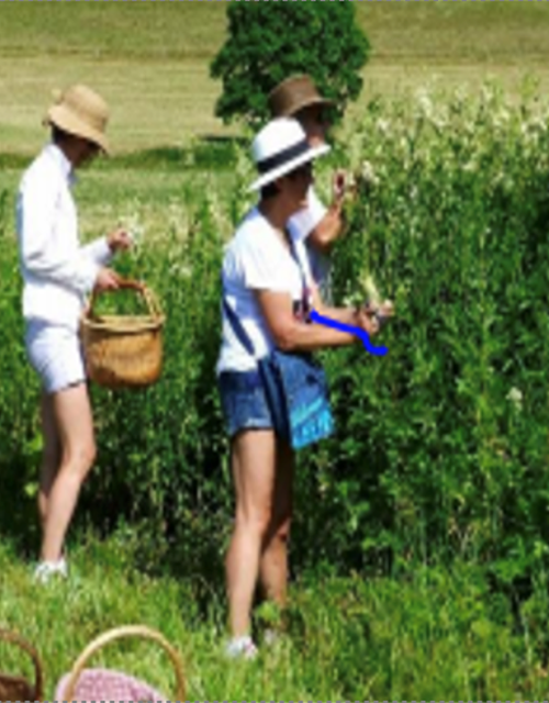 Screen Shot 2021-08-12 at 14