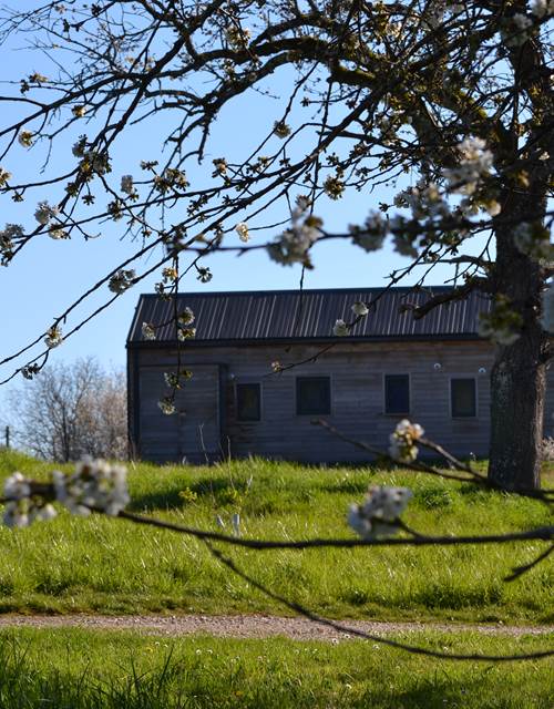 Cabane du Renard, vue du parc