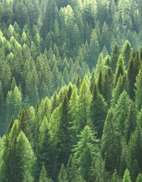 shutterstock_437713483