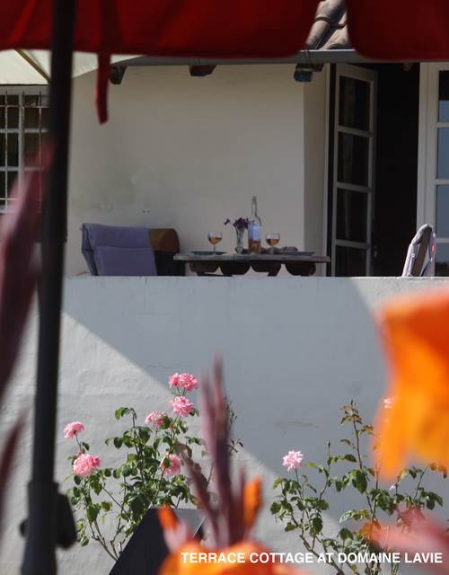 Terrace Cottage - vue depuis l'autre côté de la piscine