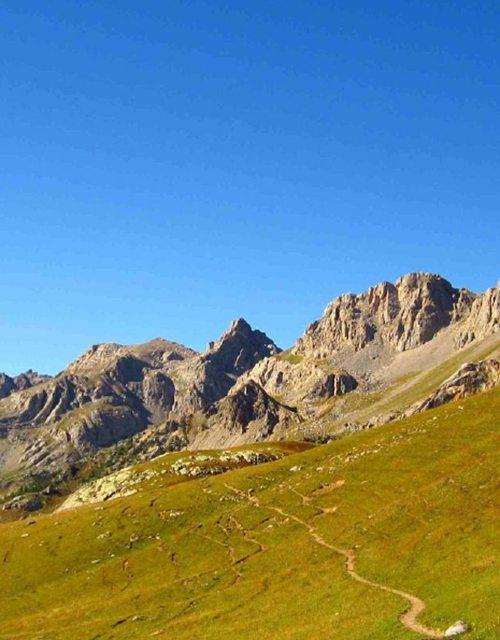 Capture d’écran 2025-06-24 111509