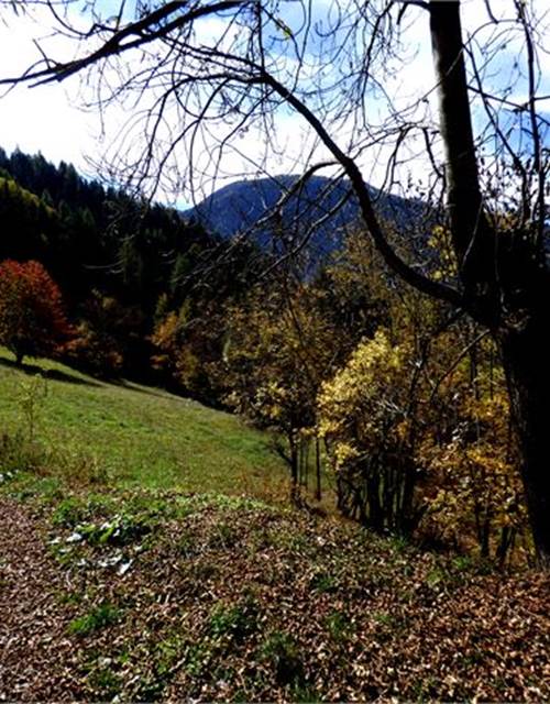 3241480-landry-martorey-villaret-mnpc-fiche