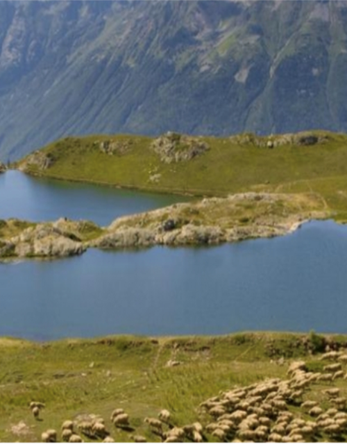 Screen Shot 2021-08-12 at 14