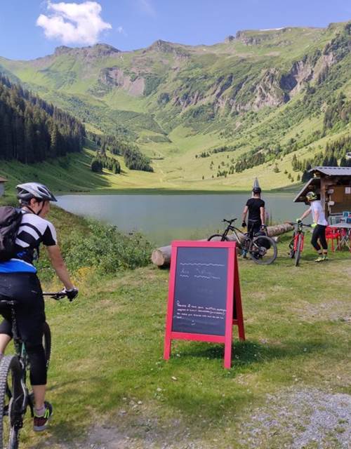 28a22ac0-619e-4795-ab33-e4e38d78fc70