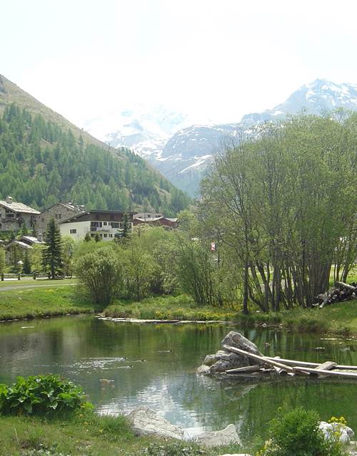 chemin des sources copie