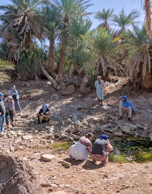 IMG-20250303-WA0120(1)