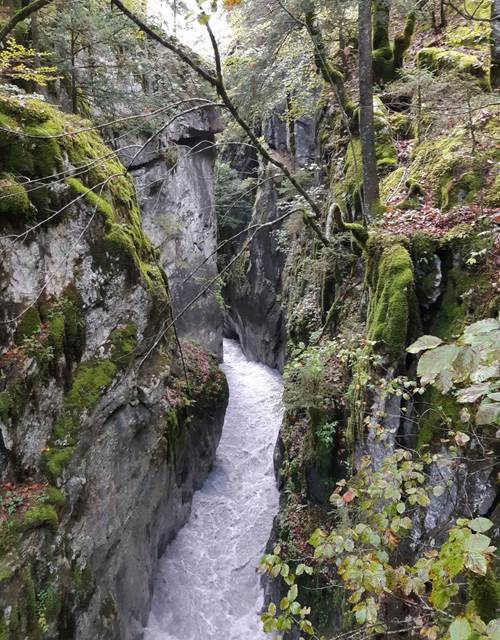 gorges des tines