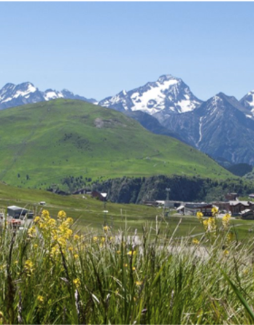 Screen Shot 2021-08-12 at 14