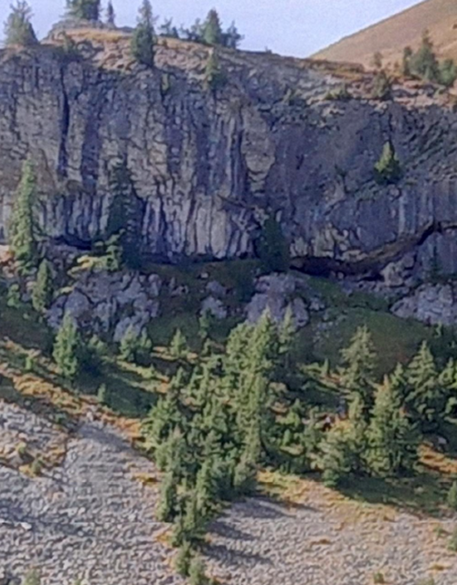 Capture d’écran 2025-07-03 090851