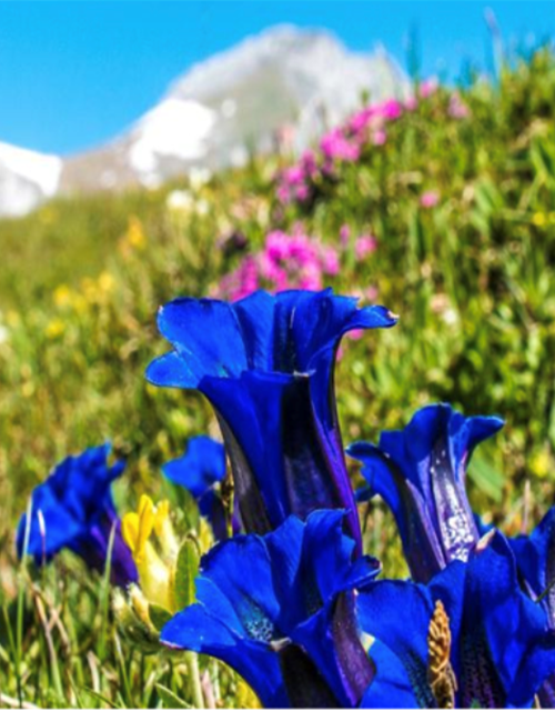 Screen Shot 2021-08-12 at 14