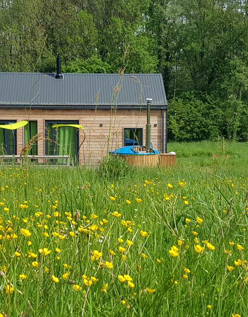Cabane du Cerf, extérieur, vue du parc