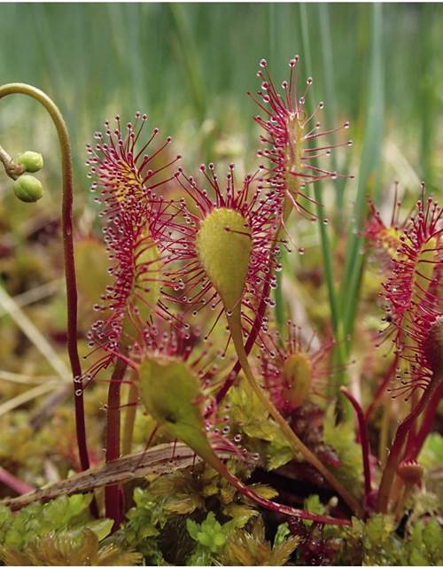 Capture d'écran 2024-07-07 161419