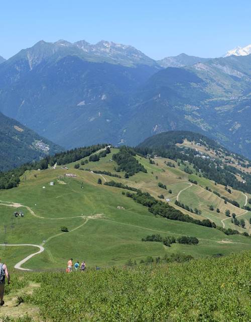 13962980_643035112528164_3747184860493681021_o