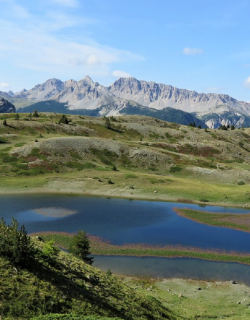Capture d’écran 2025-06-26 121333