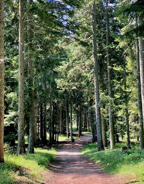 67351268_1312512355580433_9042359360264601600_o