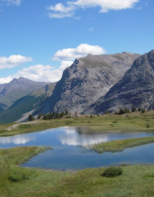 Capture d’écran 2025-06-26 104242