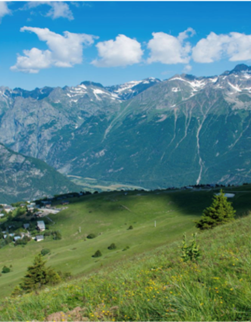 Screen Shot 2021-08-12 at 14