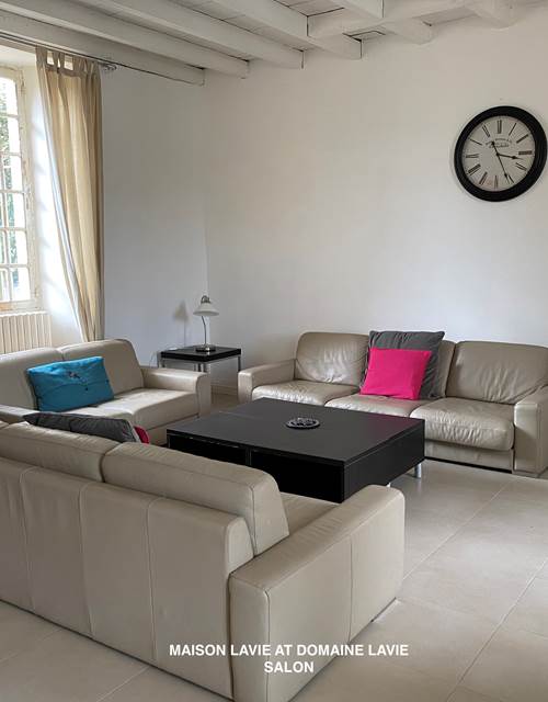 Maison Lavie Salon1