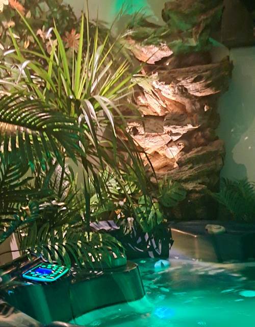 517398120_4339577629596705_3329137714358542193_n