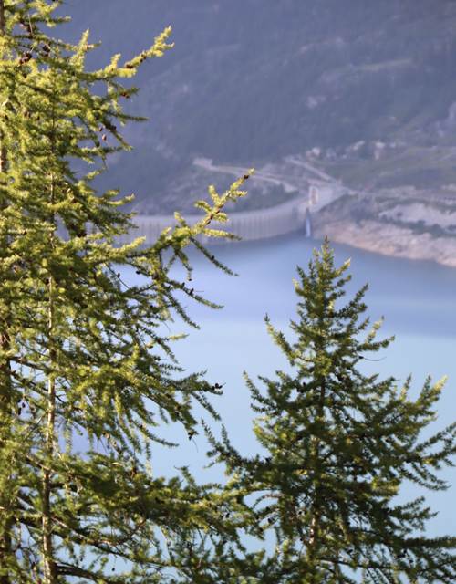 Croix-combe-folle_Elfie-2