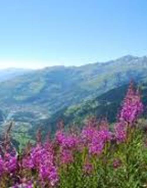 téléchargement (10)