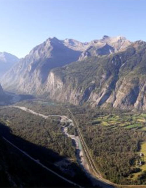 Screen Shot 2021-08-16 at 10