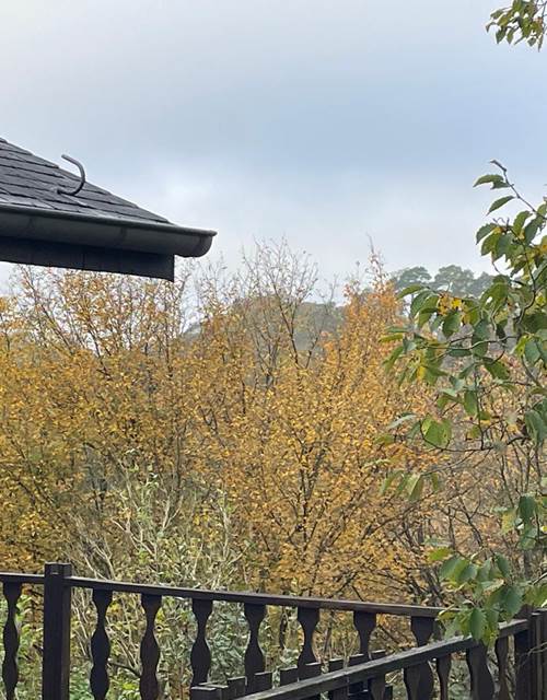 WhatsApp Image 2024-11-12 à 09.55.28_0e2fd3ee