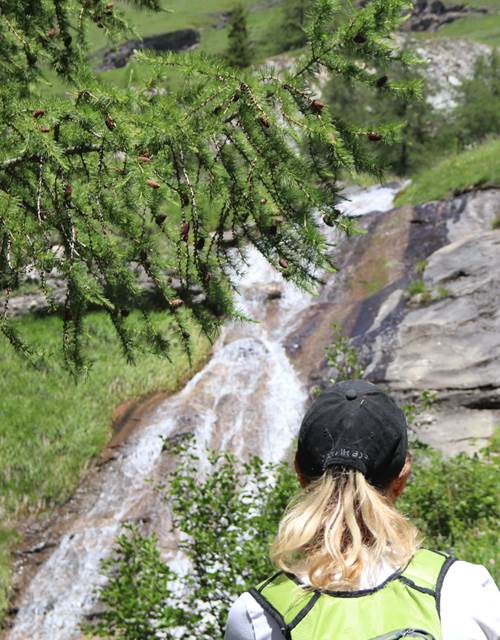 Clairière-Bario_Elfie-3