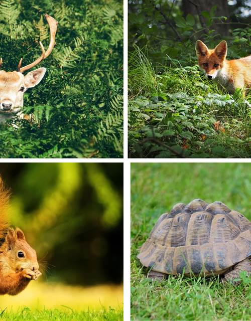 photo privatisation (1)