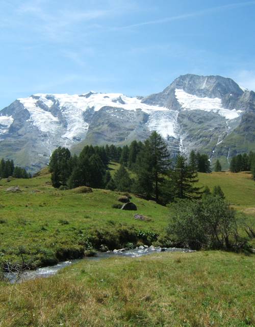 Plan des violettes - Re´serve Villaroger