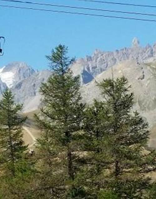 fugue en foret d'altitude