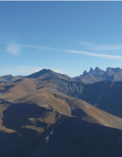 Screen Shot 2021-08-12 at 14