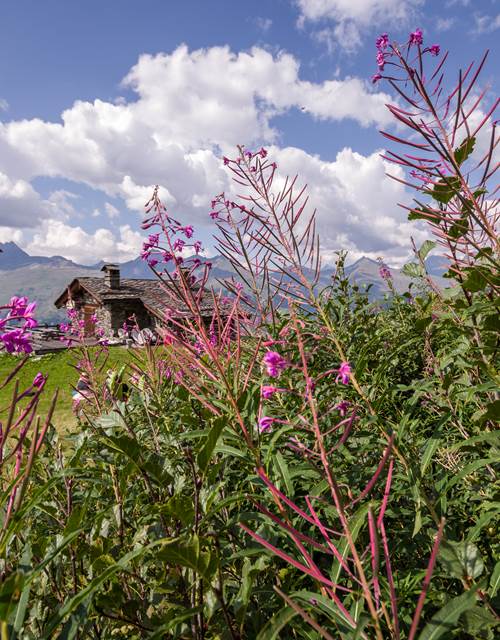 0122-photo-club-med-3